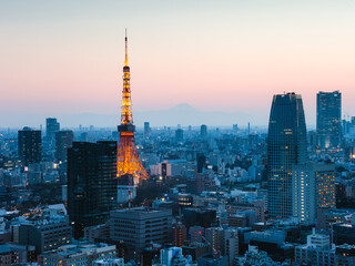 Tokyo tower and city after sunset with mount Fuji, Japan