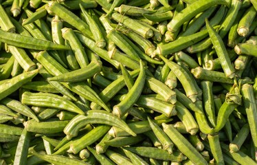 Top View of Organic Okra or Lady Finger in an Indian Market for Selling