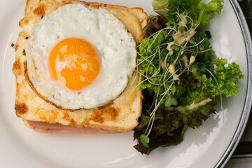 Hot sandwich with egg and fresh herbs. Appetizing snack breakfast close-up top view