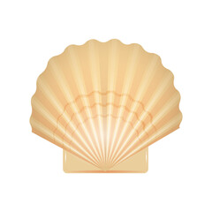 Scallop shell. Isolated on a white background. Vector illustration