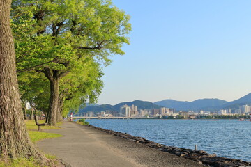 初夏の琵琶湖の風景