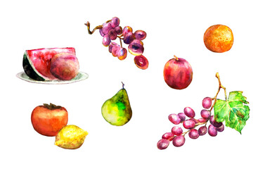 Watercolor fruits set. Colorful watermelon, peach, grapes, orange, persimmon, lemon, pear isolated on white background.
