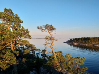 Midsummer night