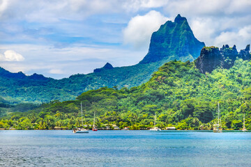 Colorful Cook's Bay Sailboats Mount Tohivea Moorea Tahiti - obrazy, fototapety, plakaty