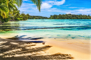 Colorful Hauru Point Beach Palm Trees Blue Water Moorea Tahiti - obrazy, fototapety, plakaty