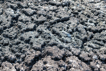 Fertile dry soil with traces of streams of water. Angle view, close-up. Selective focus.
