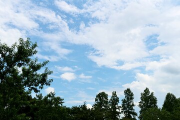 爽やかな初夏の空　風景