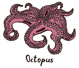 Tentacles of octopus with suckers. Hand drawn isolated illustration with the inscription on a white background