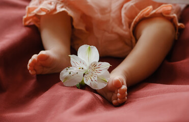 Baby feet  with orchid on a blanket