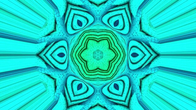 D20