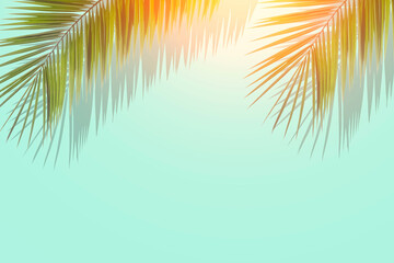 Fototapeta na wymiar Palm leaves background. Tropical palm leaves on an empty colored background. Summer, tropics, sun, vacation concept