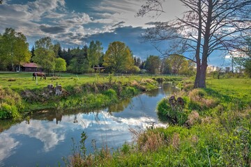 Konie nad rzeczką Horses by the river hdr Rządza rzeka  © SebbPL