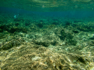 Naklejka na ściany i meble Underwater view of sea with stones and algae