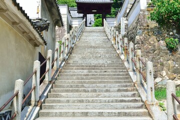 Obraz premium stairway to heaven