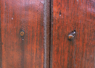 Old nails on the wooden wall are rusty.