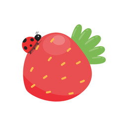 Strawberry vector. Strawberry on white background. Ladybug on strawberry.