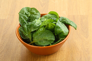 Fresh green spinach leaves in the bowl