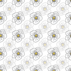 Vector background garden strawberries, berry flowers, berries fruits. Seamless pattern background