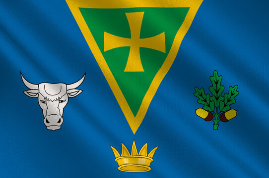 Flag of County Roscommon in Connacht of Ireland