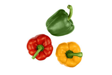 Bell peppers isolated on white background. Red, yellow, green sweet peppers top view.