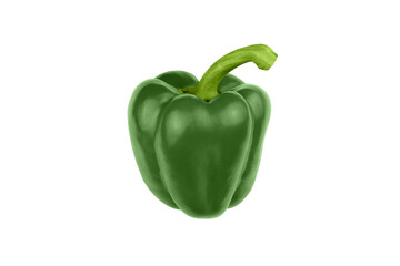 Green sweet bell pepper isolated on white background.