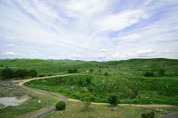 landscape with fields