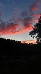 Fototapeta premium Colorful sunrise with cirrus red clouds on forest lake in Karelia, Russia. Natural landscape, vertical photo. High quality photo