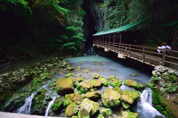 bridge over the river