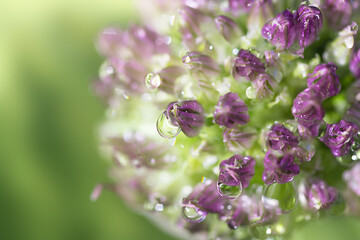 Abstract textured summer defocused lights blurred background. Soft focus. 