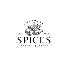 Spices Ginger Chili Clove Hand Drawing  Logo Vector Illustration Template Icon Design 
