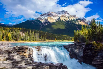 Abwaschbare Fototapete Waldfluss Kanada. Athabasca-Wasserfälle