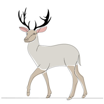 red deer one continuous line drawing, isolated, vector