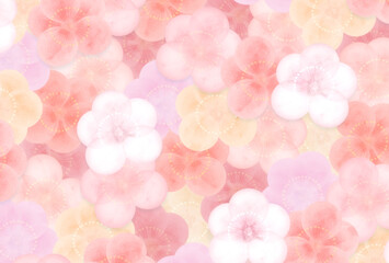 ハガキサイズ　淡く柔らかな梅の花模様