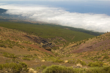 Mar de nubes, norte de Tenerife