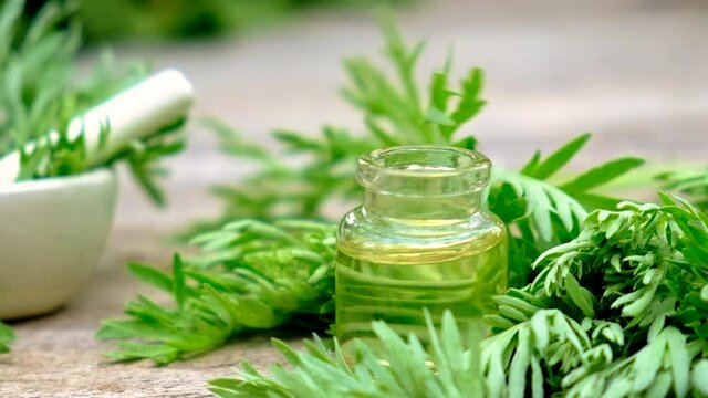 Wormwood extract in a small bottle. Selective focus.