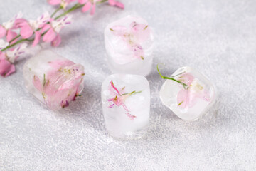 Fototapeta na wymiar Delicate pink flowers frozen in ice cubes on a light gray background