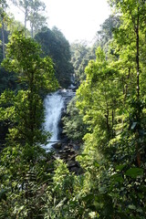 Fototapeta na wymiar Waterfall in the rainforest. Thailand. Mountain waterfall. Tropical nature