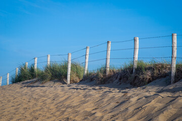 Wooden poles, barbed wire and sandy path through the dunes, Netherlands