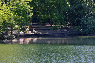 Landschaft im Frühling am See Krumme Lanke, Berlin