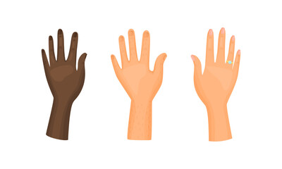 Different Human Right and Left Hands with Palm Raised Up Vector Set