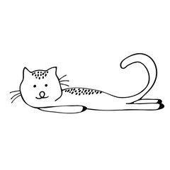 Cat hand drawn outline doodle icon. Domestic animal - cat vector sketch illustration for print, web, mobile and infographics isolated on white background. Doodle cartoon style.
