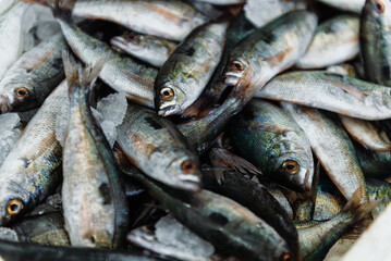 Obraz premium Various fresh sea fishes on ice at market stall. Top view.