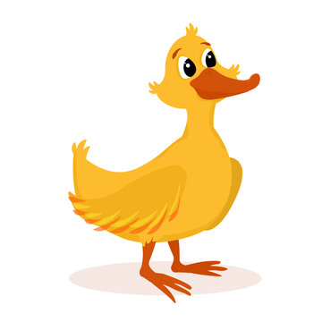 vector illustration of a cartoon-style duck isolated on a white background