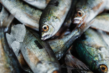 Various fresh sea fishes on ice at market stall. Top view.