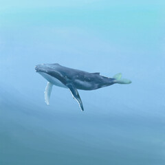 Blue Whale watercolor painting. Blue whale illustration.