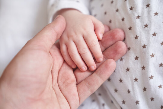 Mothers hand holding baby hand. The baby is one month old. Cute little hand with small fingers. Concept of love and care background. High quality photo