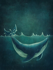 Blue whale © Elena Schweitzer