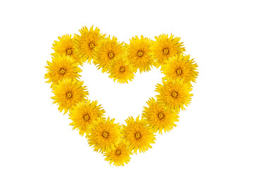 Symbol of love, happiness, summer - heart shape made of yellow dandelions isolated on white background