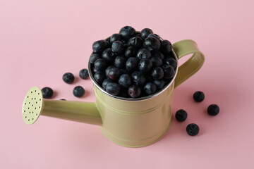 Fresh berry concept with blueberry on pink background
