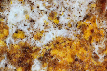 Lebanese Omelet